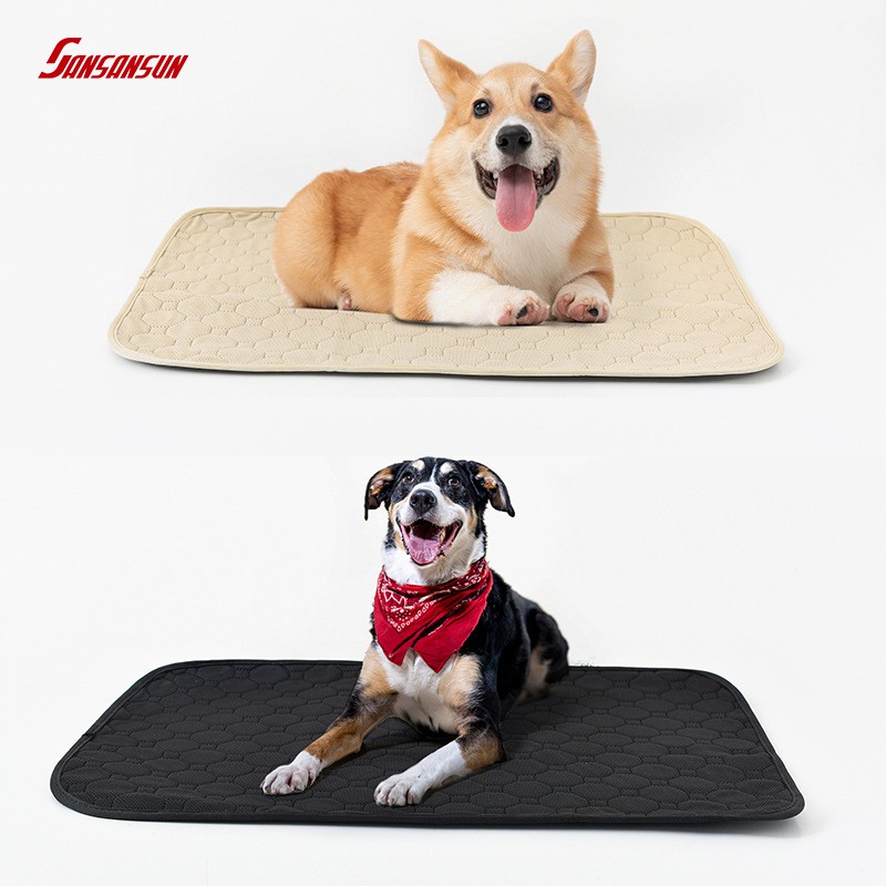 pet mat