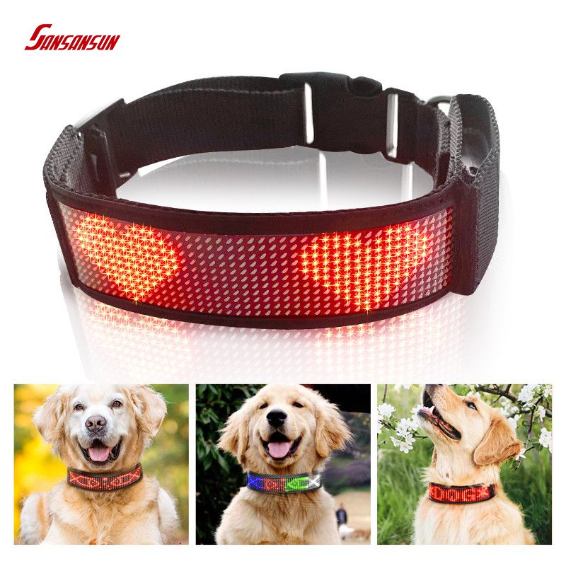 led dog collar