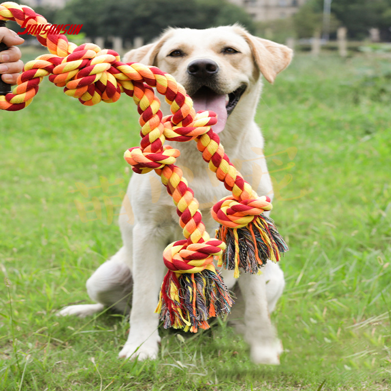 interactive dog toy