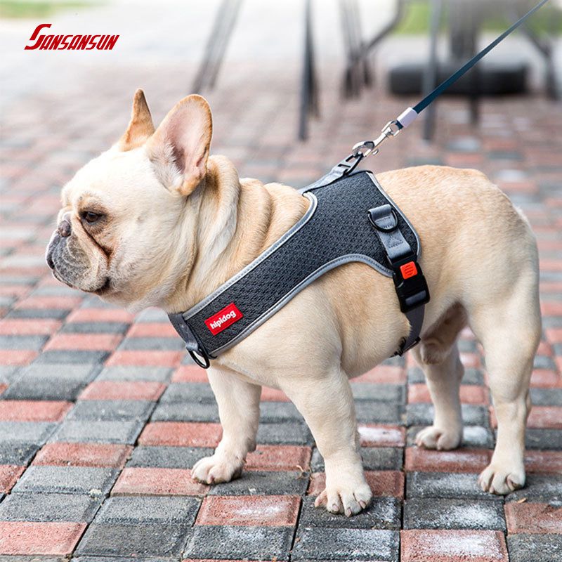 no chock dog harness