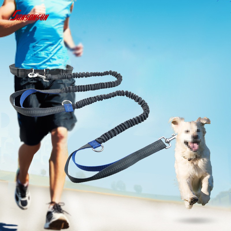 dog walking waist belt