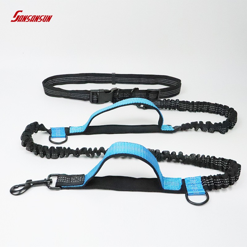 dog leash for running