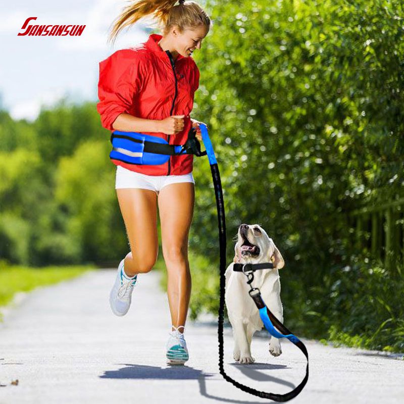 dual handle dog leash