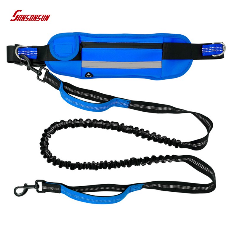 dog jogging leash