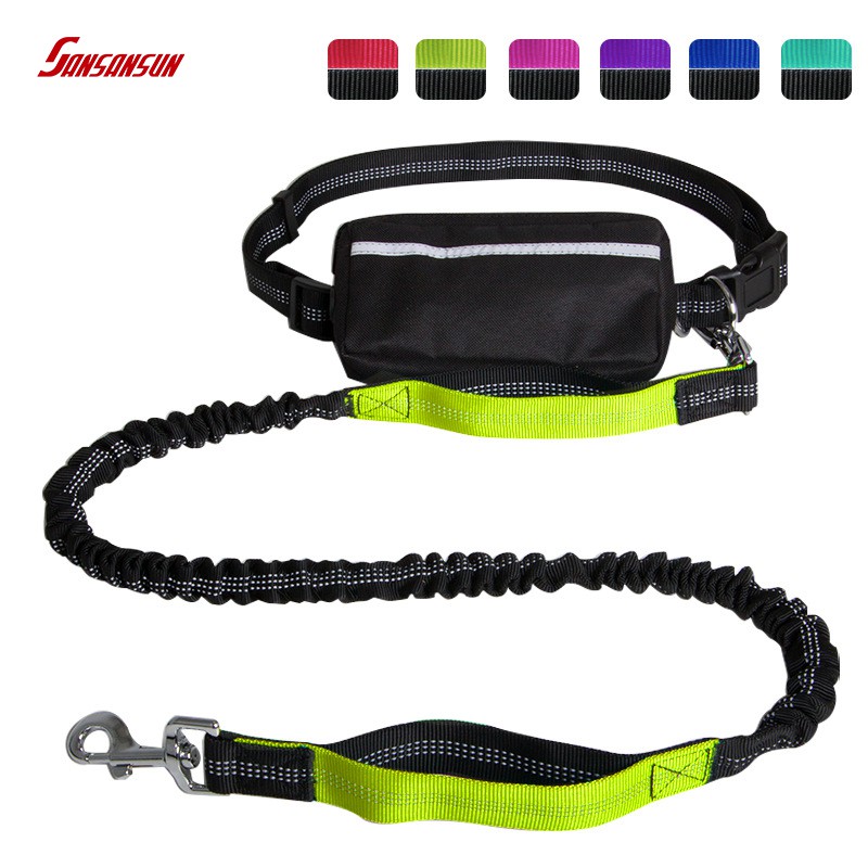 multifunctional dog jogging leash