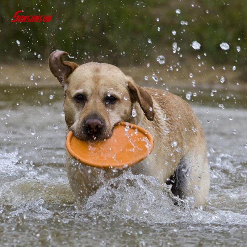 dog rubber frisbee