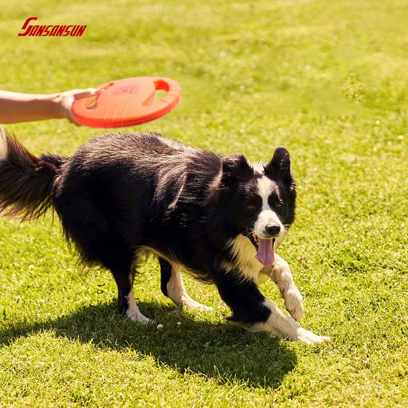 Rubber Frisbee For Dogs 