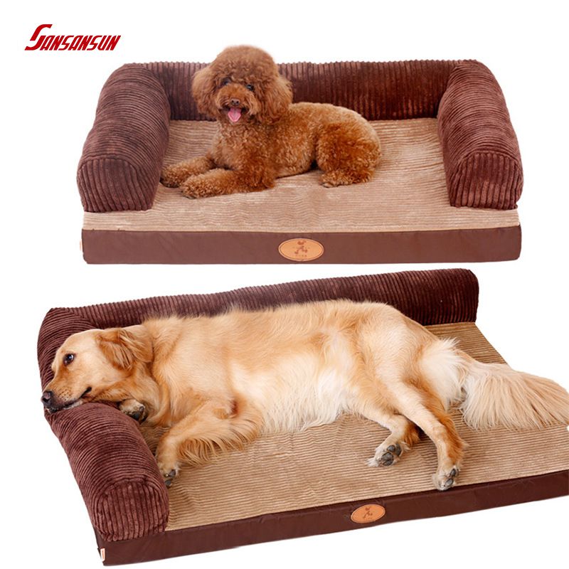 foam dog bed