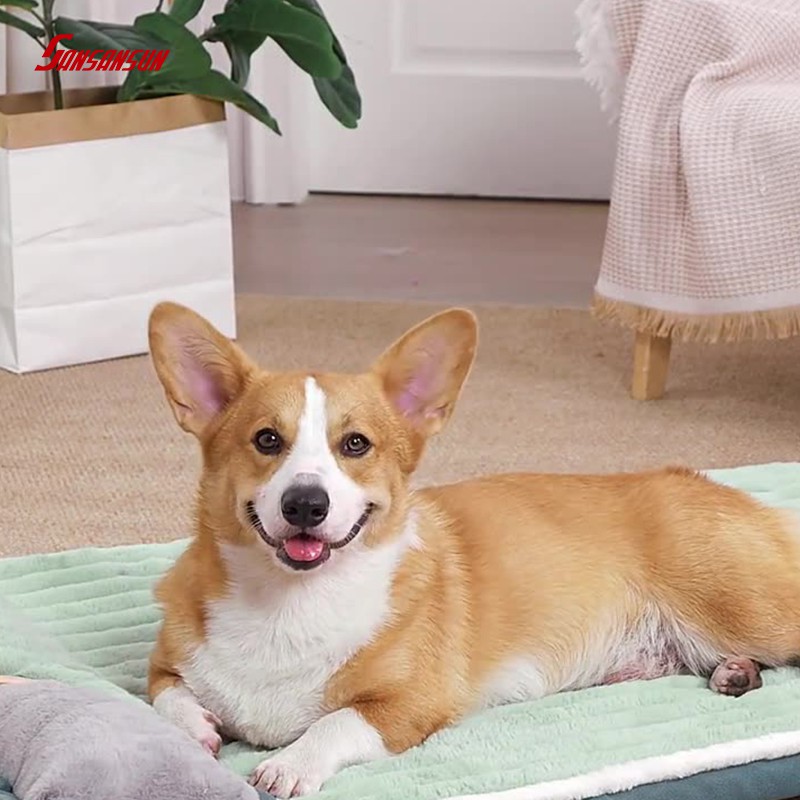 large calming dog bed