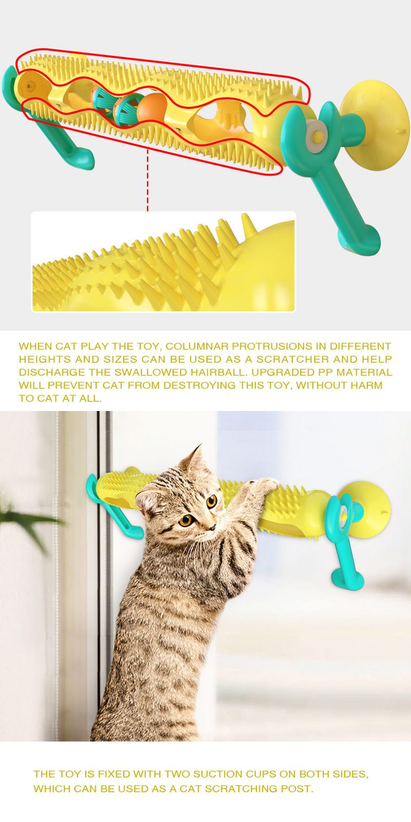 kitten toys that move