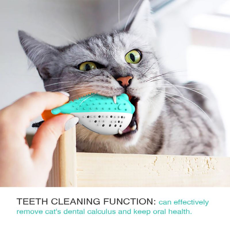 cat teeth grinding toy