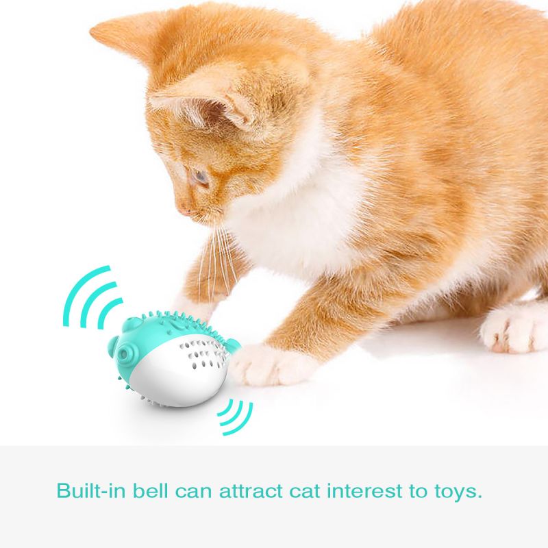 cat toy with bell