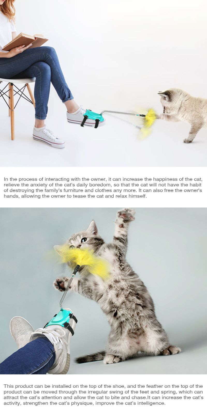 best cat accessories