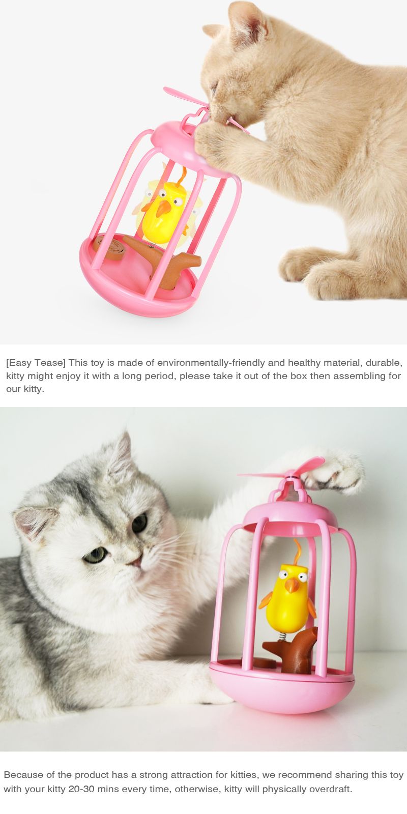 motorized cat toys