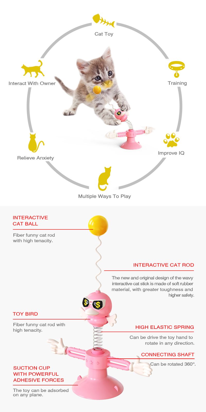 cat training toy