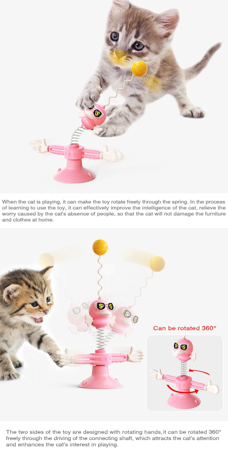 kitten training toy