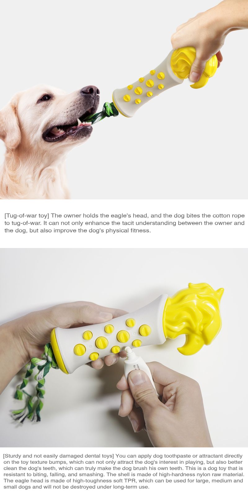 dog swimming toy