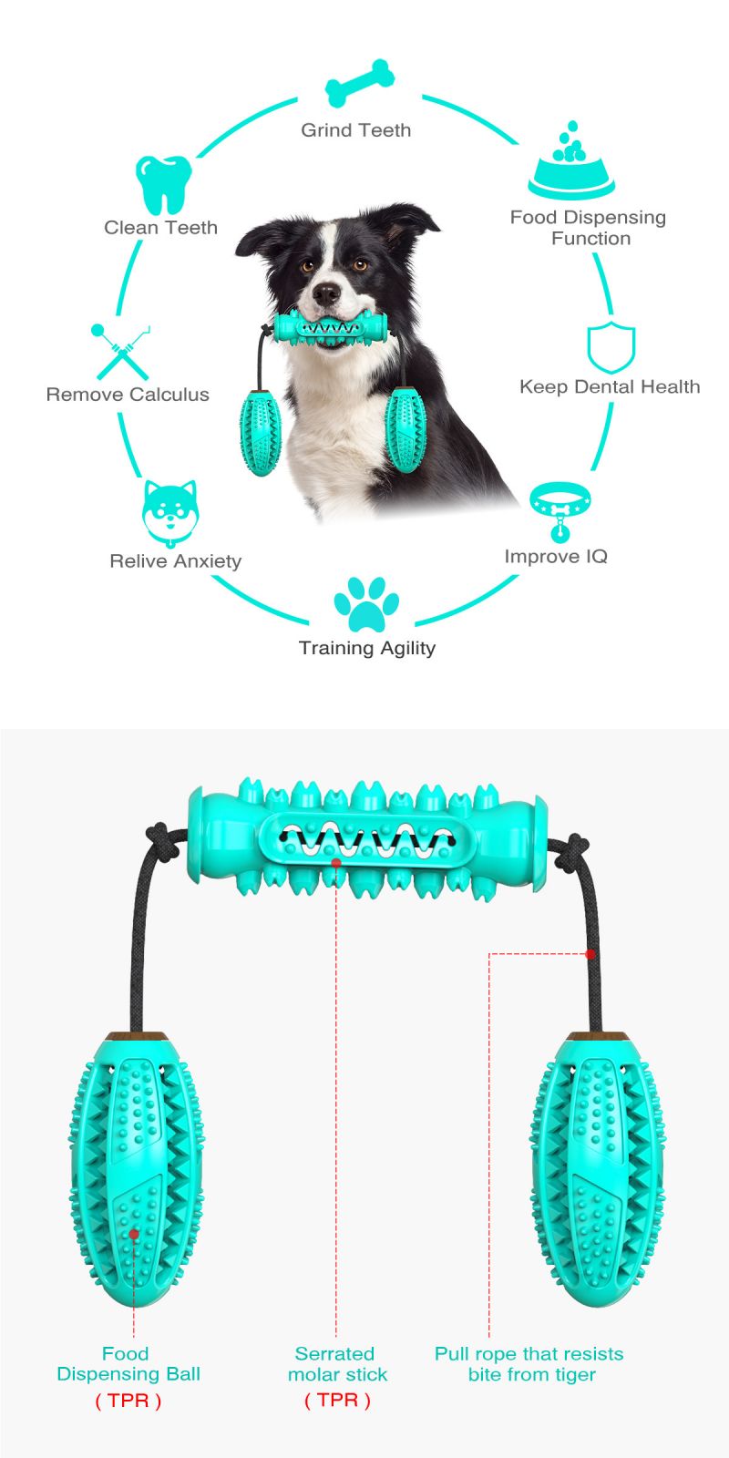 dental toys for dogs