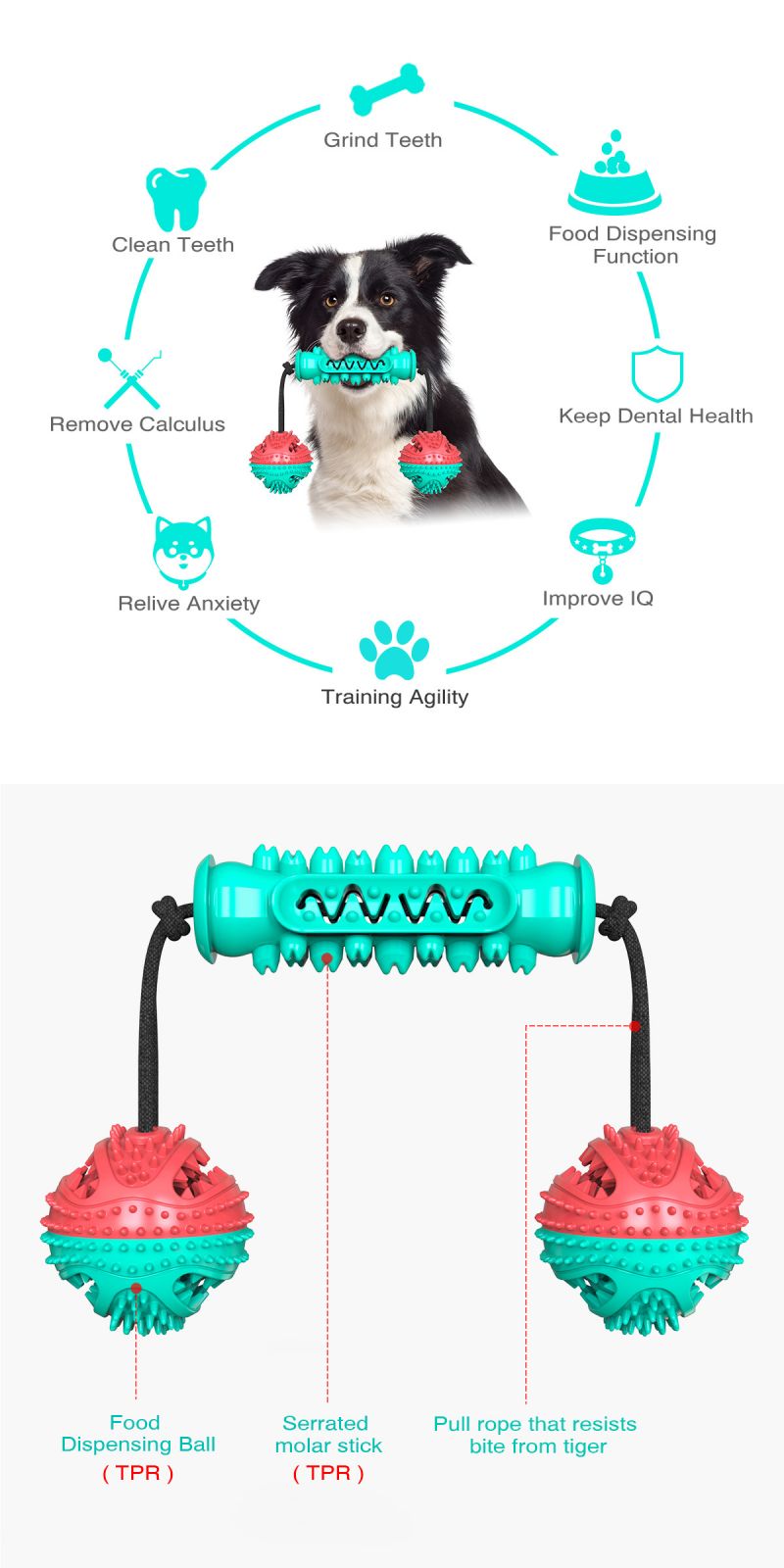 dog treat dispenser toy