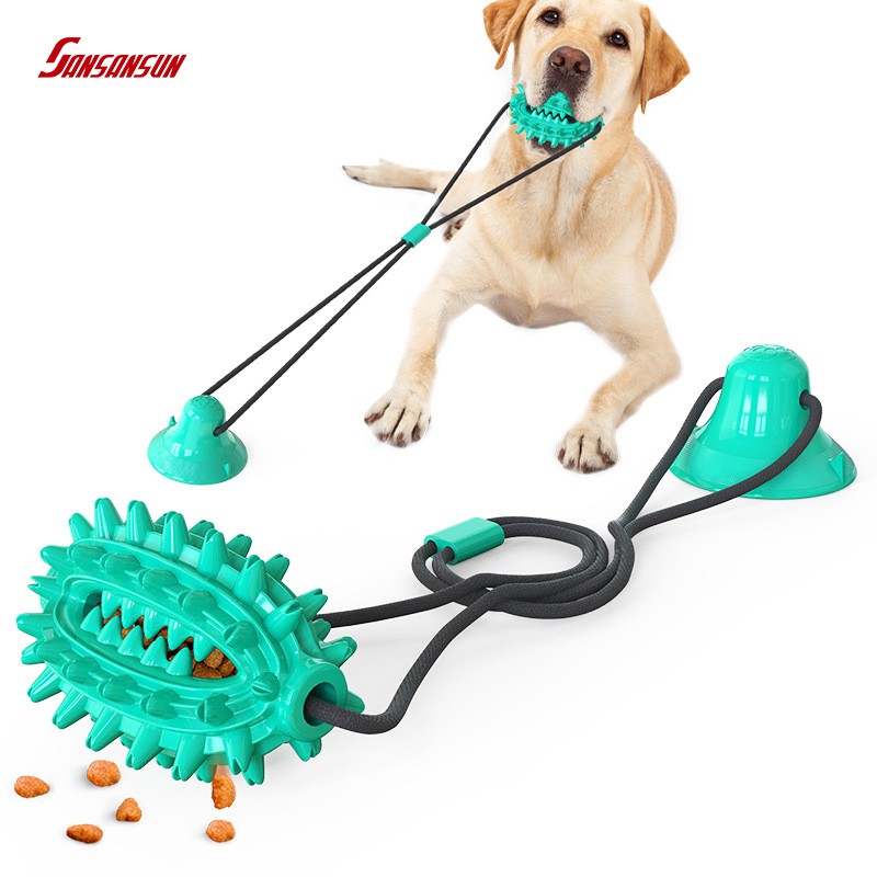 dog dental chew toy