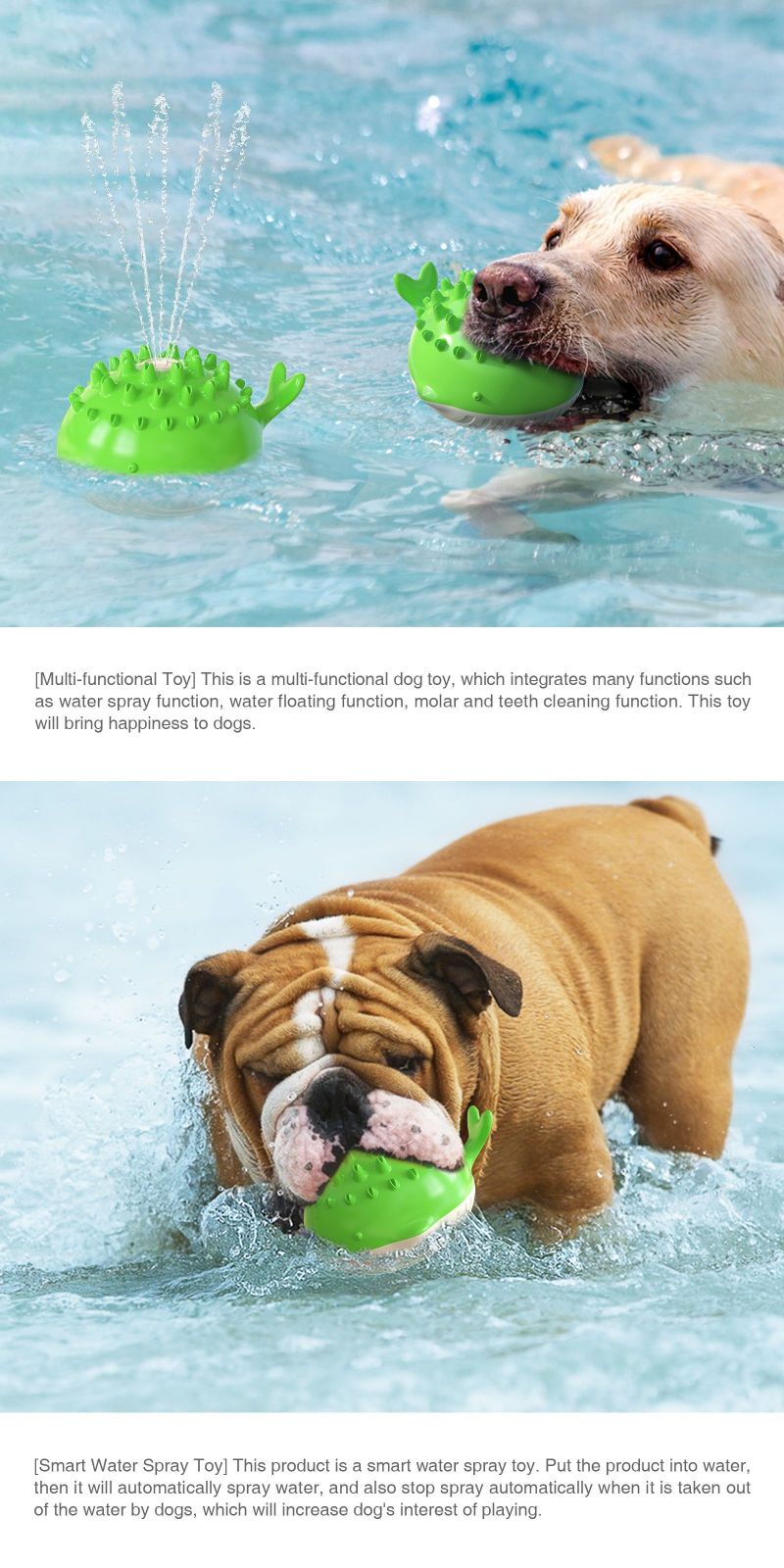 dog toy for dog swimming