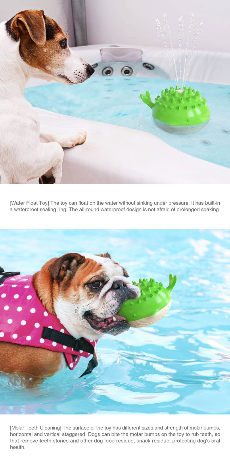 duarable swimming toy for dogs