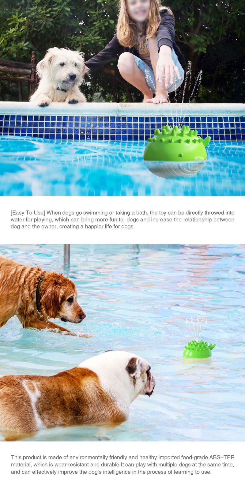 dog interactive toy