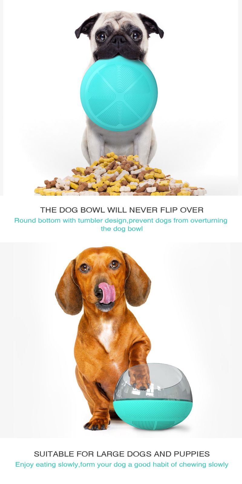 dog slow feeder bowl