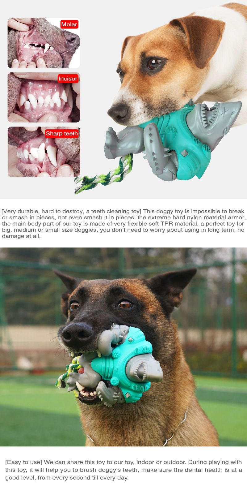 durable dog toy