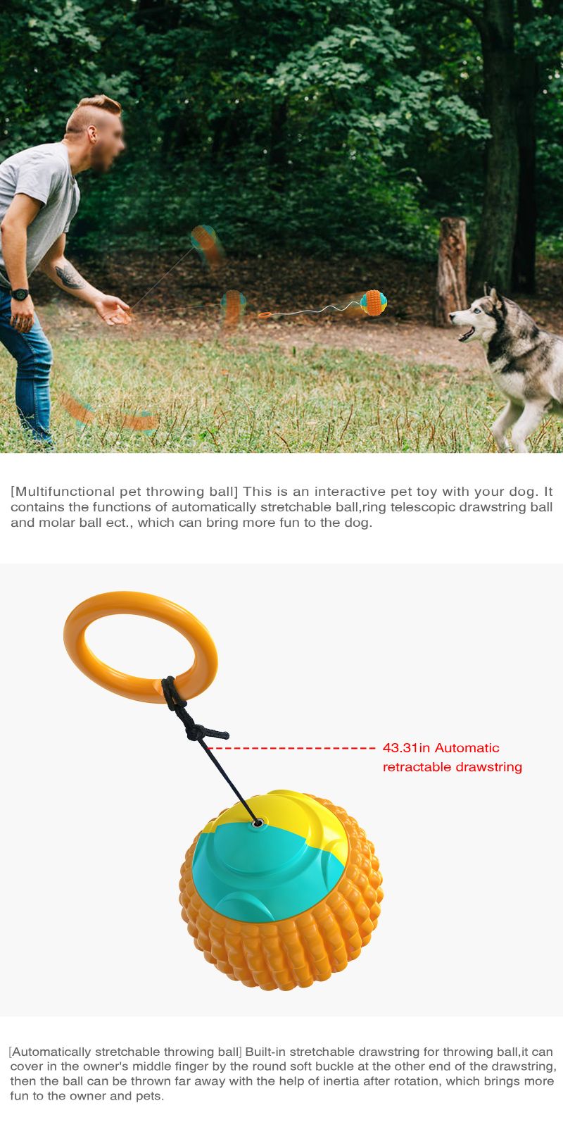 Interactive dog toy