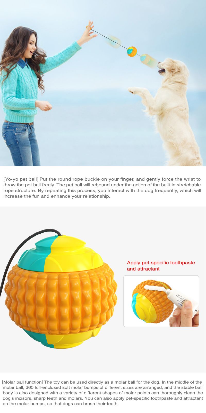 Interactive dog ball