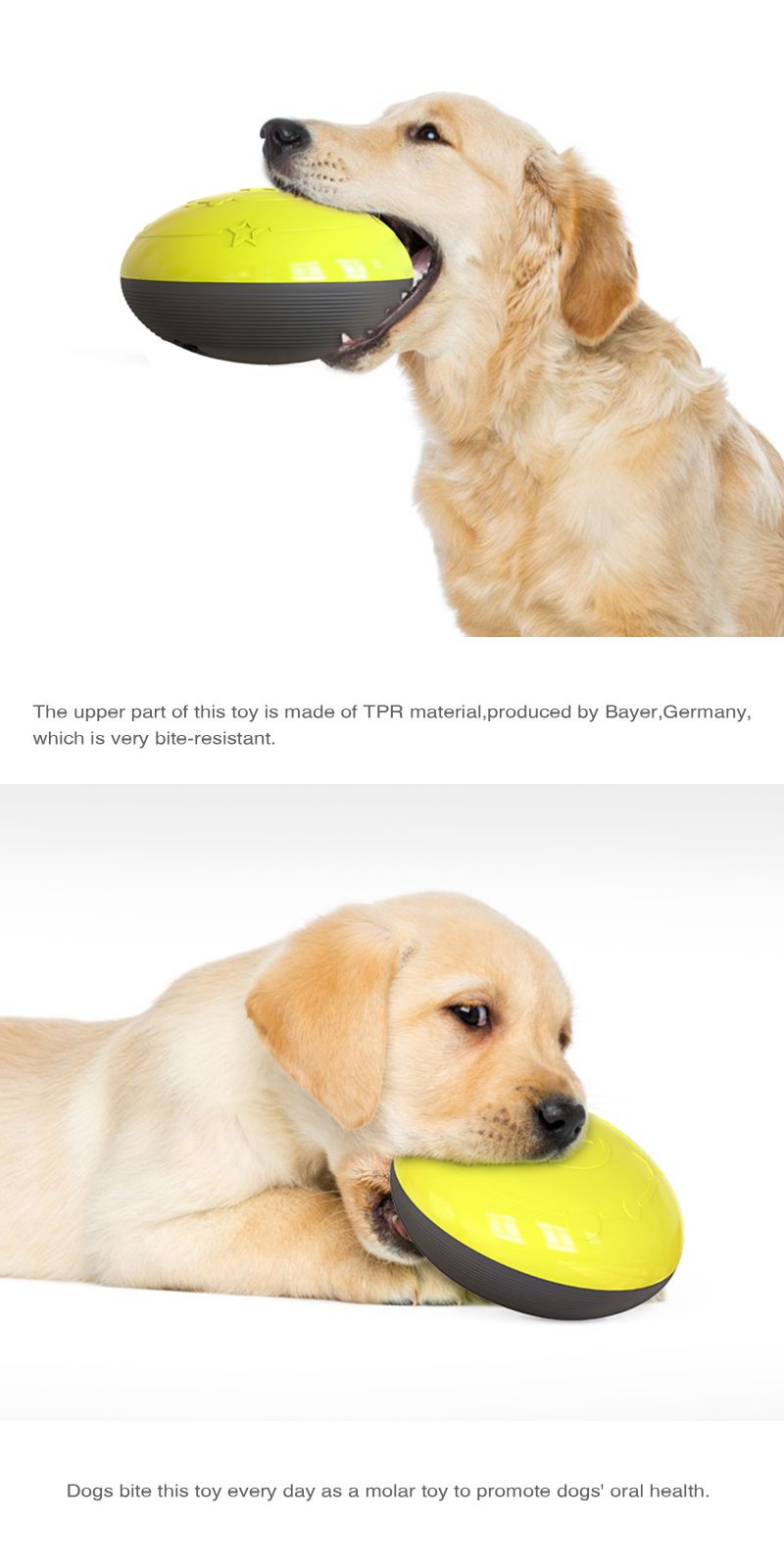 dog enrichment toys