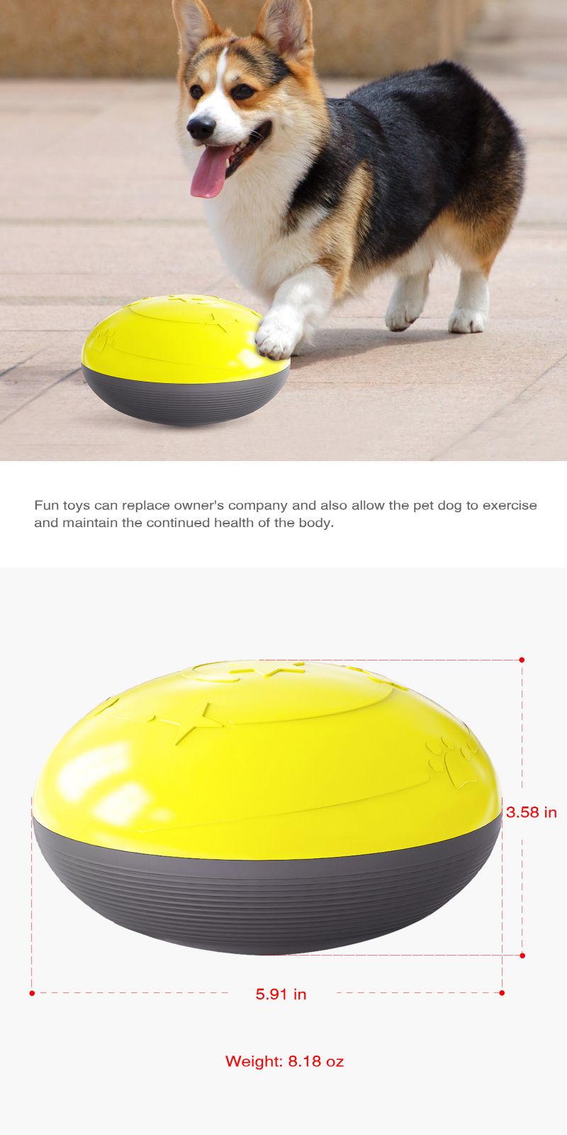 outdoor dog toys