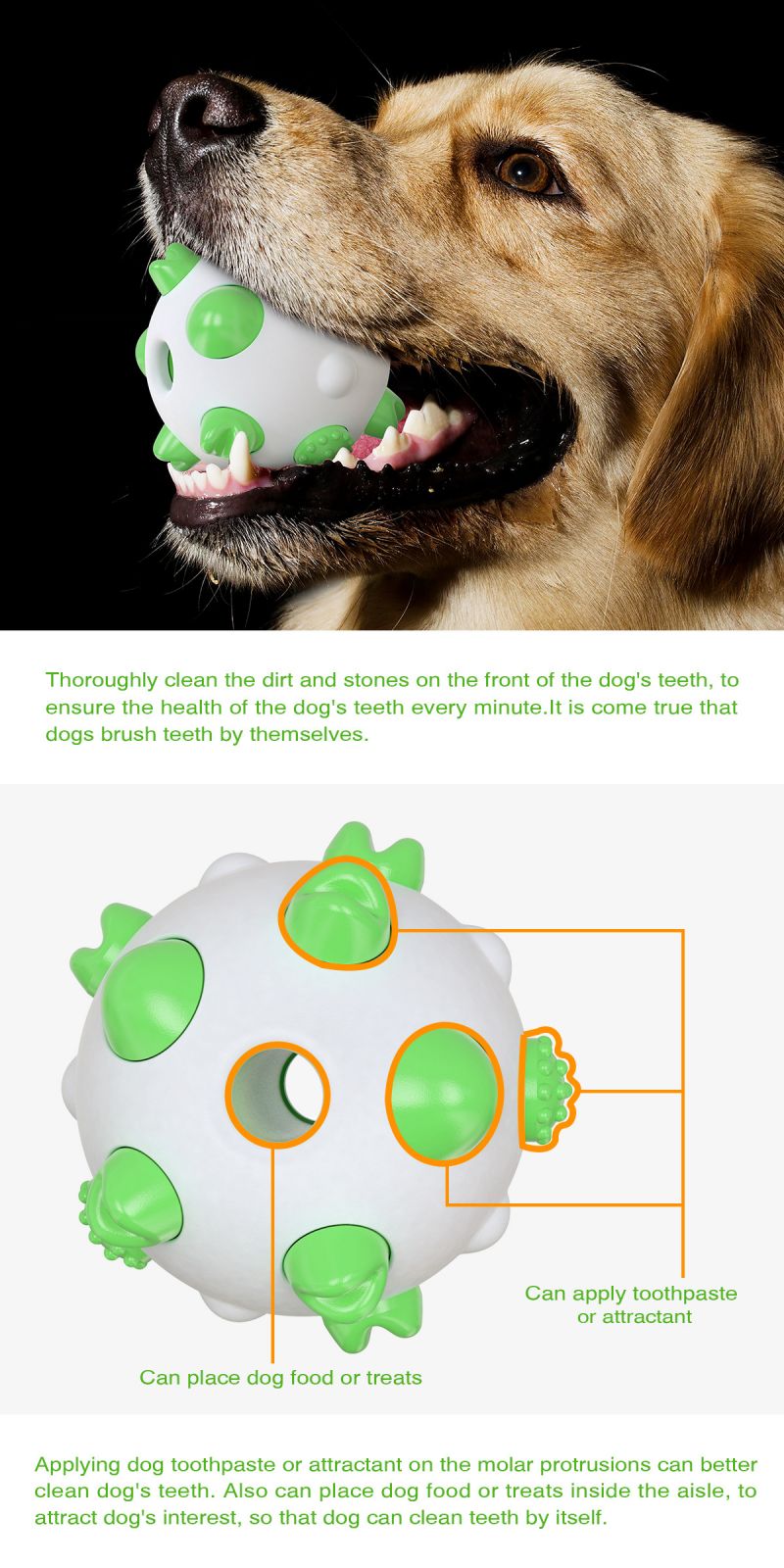 interactive dog toy