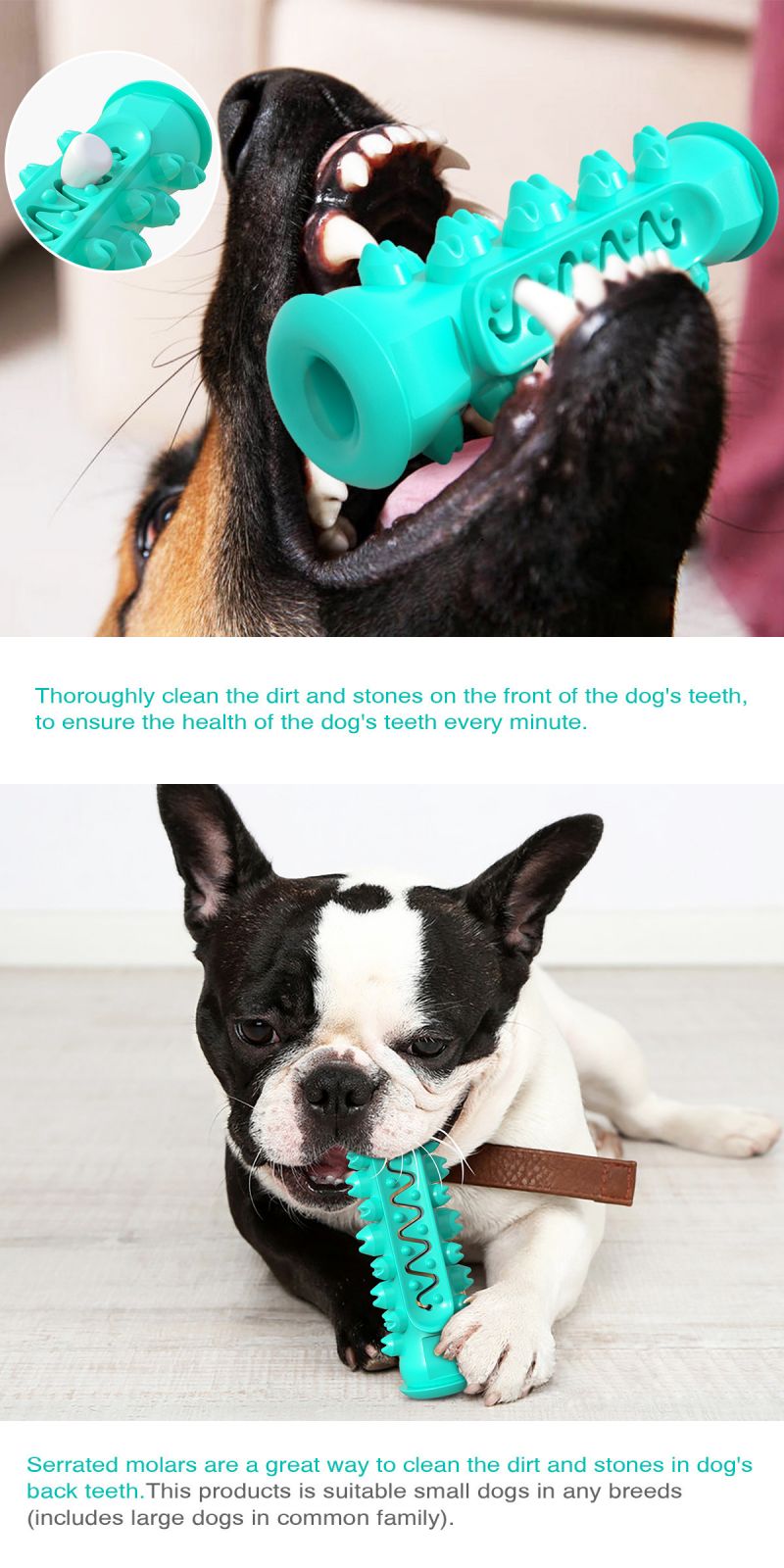 smart dog toys