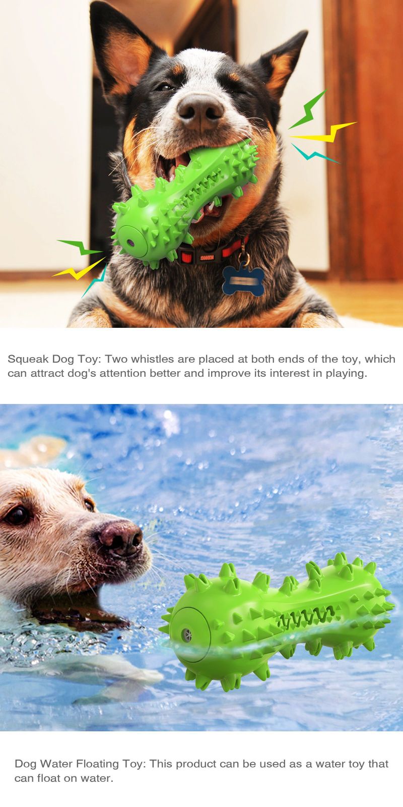 dog water toys 