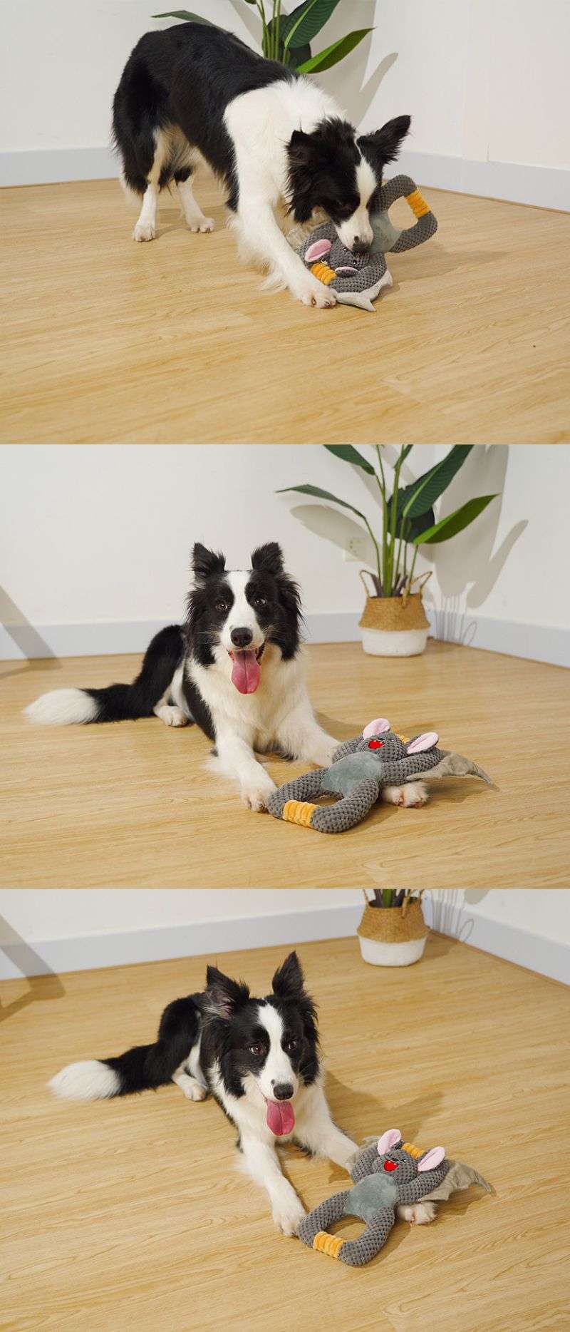 interactive dog toys uk