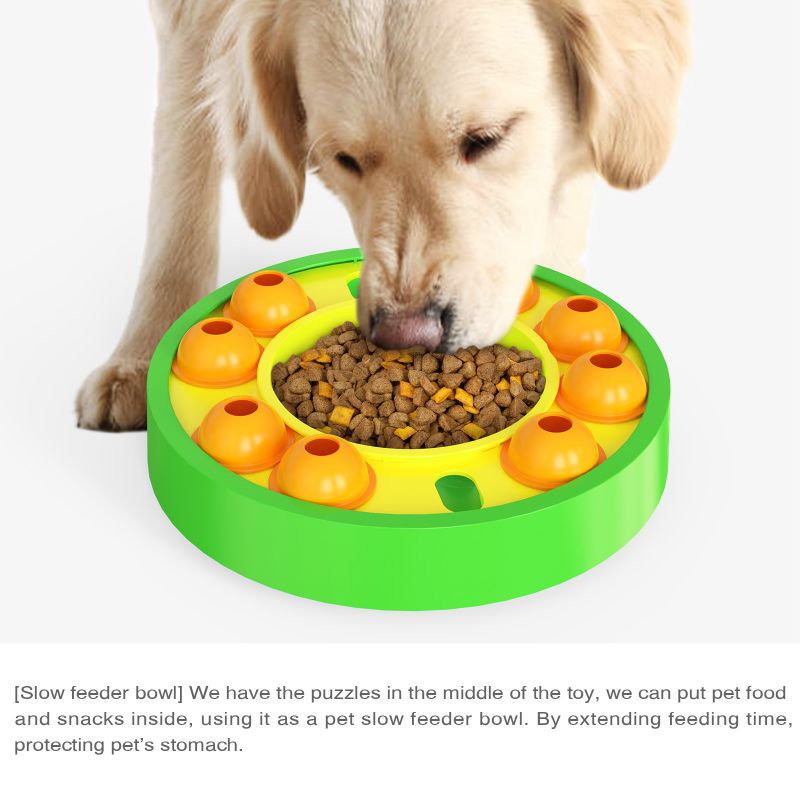 puzzle toy for dog