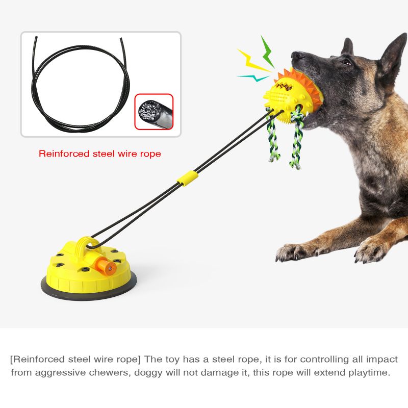 dog toy with suction