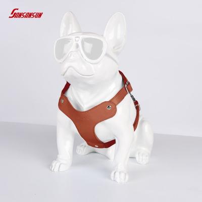 Dog Harness