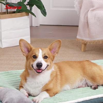 best xl dog beds