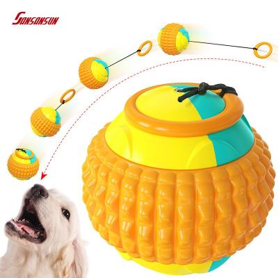 super chewer dog box