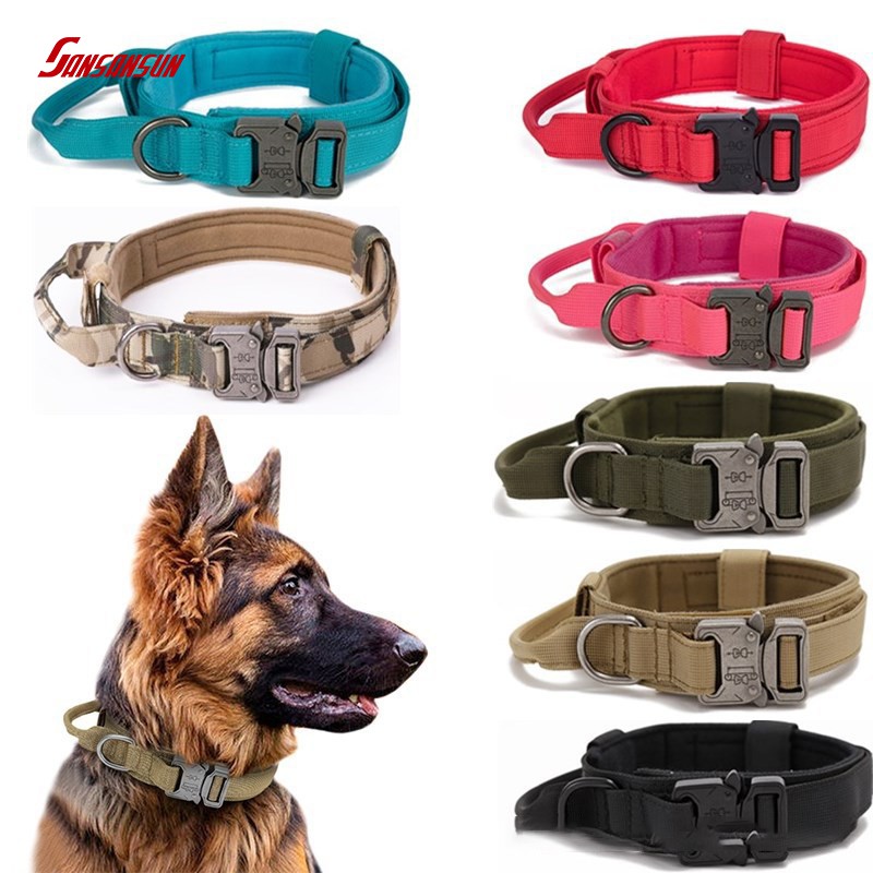 Have you chosen the right collar for your dog