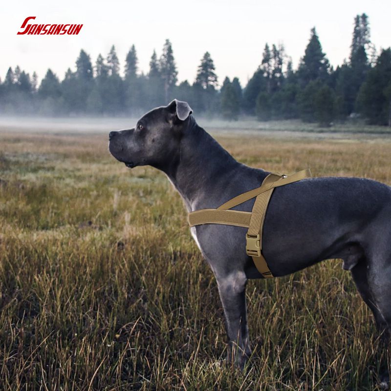 How to choose the best dog harness