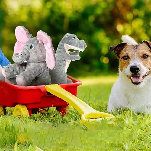 How to choose plush toys for your dog