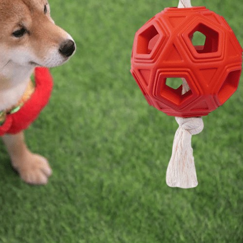 The importance of dog toys