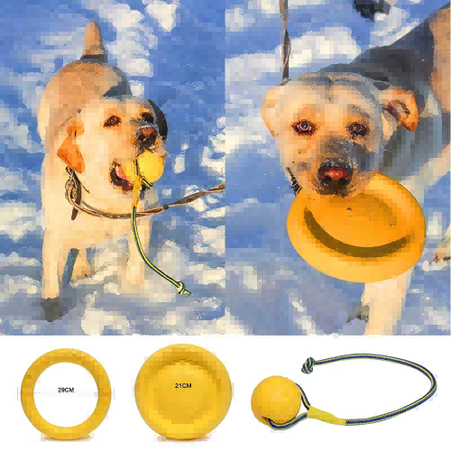 What is the best chew toy for dogs?